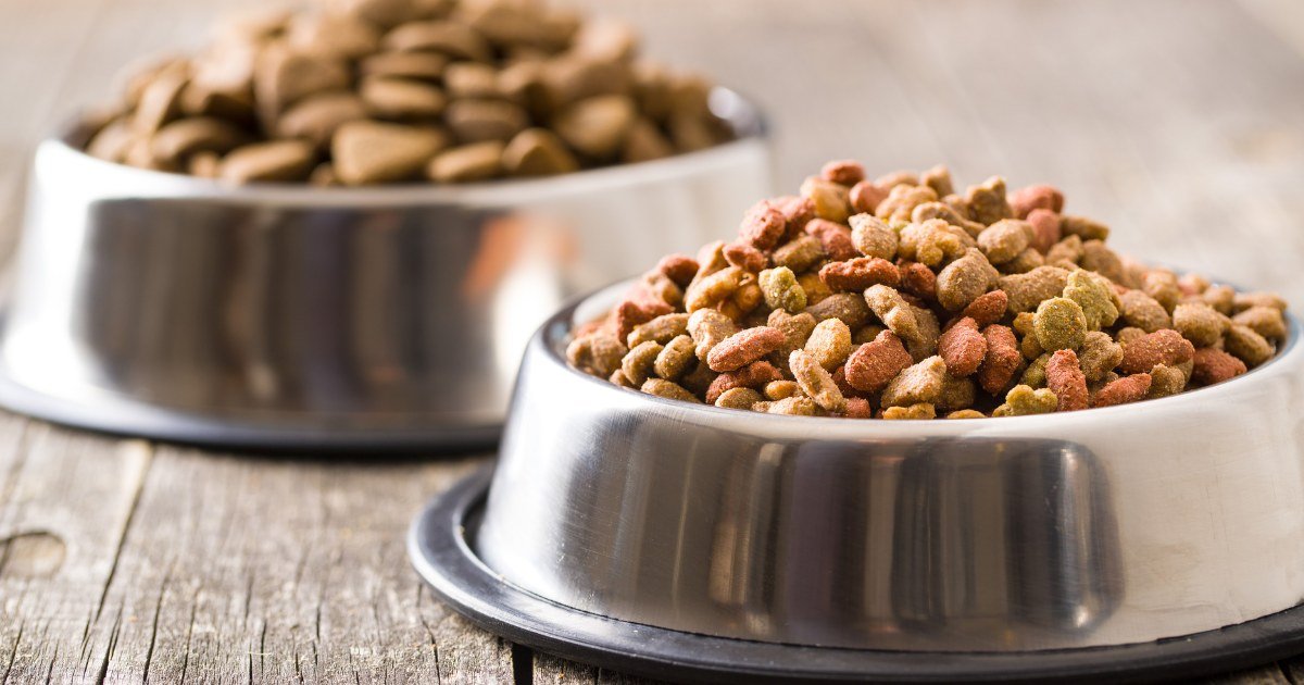 Streamline Your Pet Food Supply with Wholesale Options