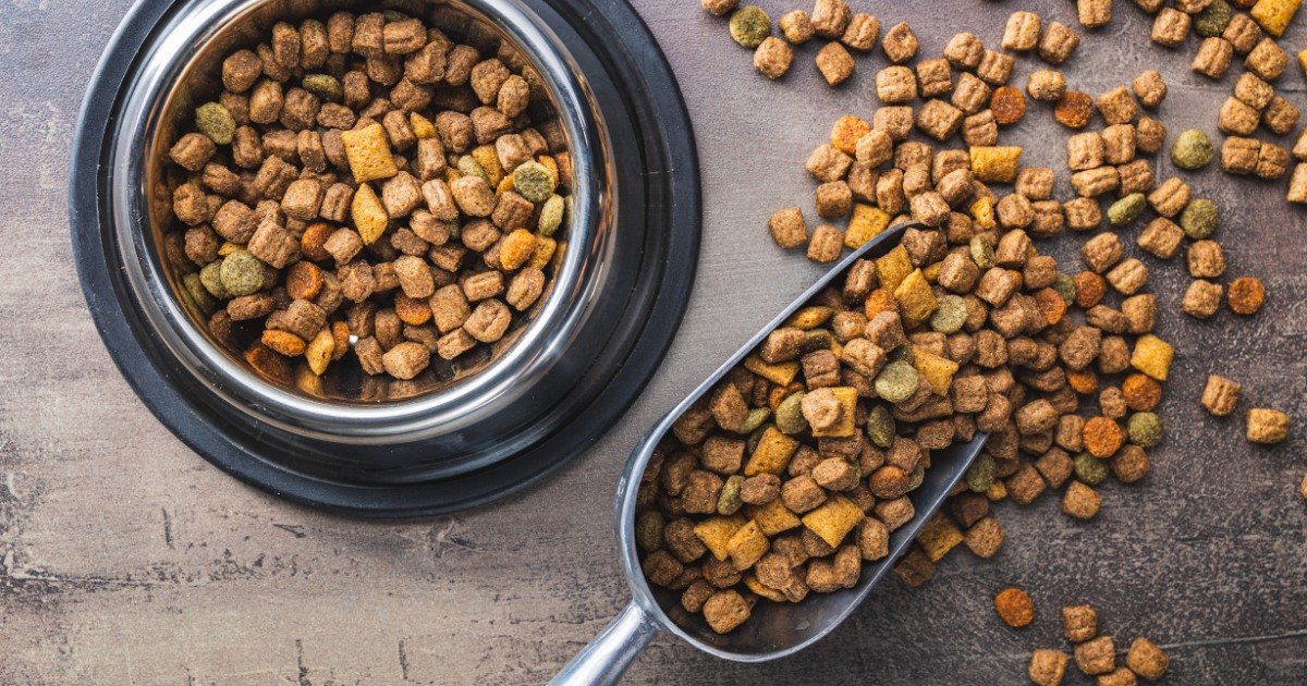 Why Sterling Petco is Your Go-To Pet Food Supplier for Quality Meals