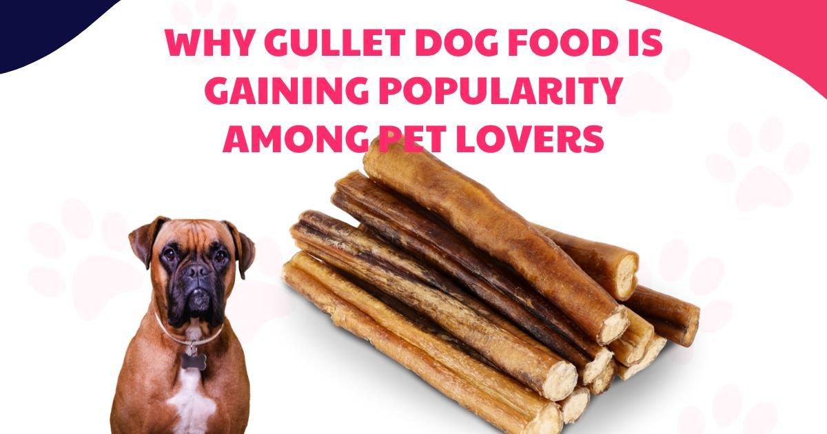 Why Gullet Dog Food Is Gaining Popularity Among Pet Lovers