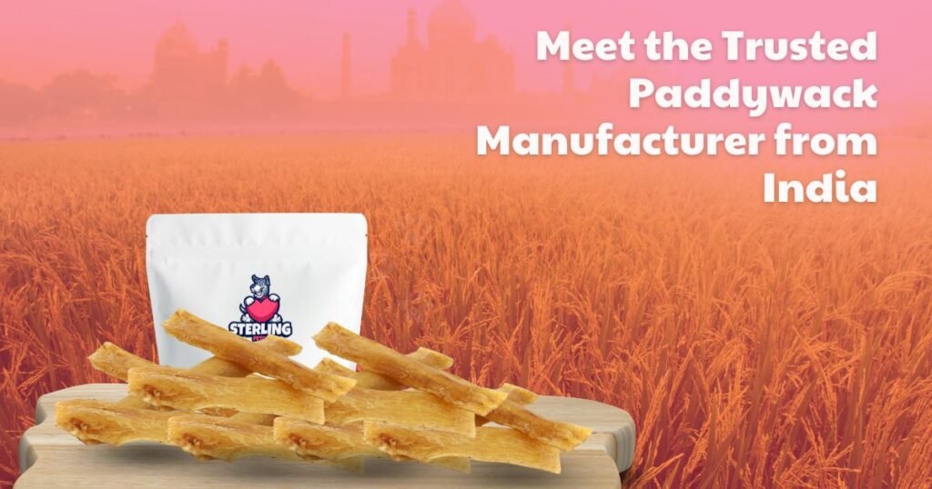 Stterlling Petco-Meet the Trusted Paddywack Manufacturer from India