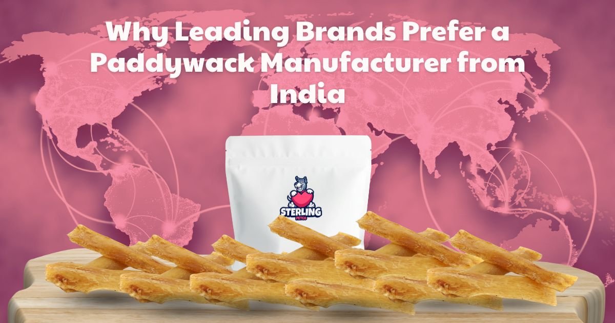 Why Leading Brands Prefer a Paddywack Manufacturer from India