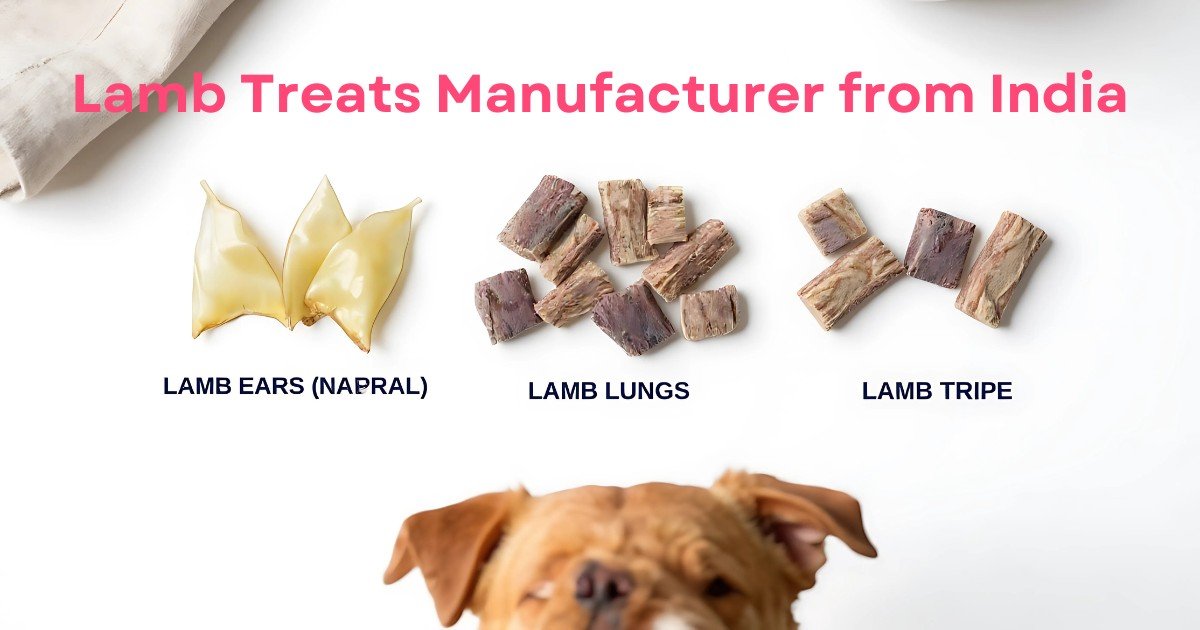 Global Demand for Lamb Treats Manufacturer from India Stterlling Petco Leads the Way