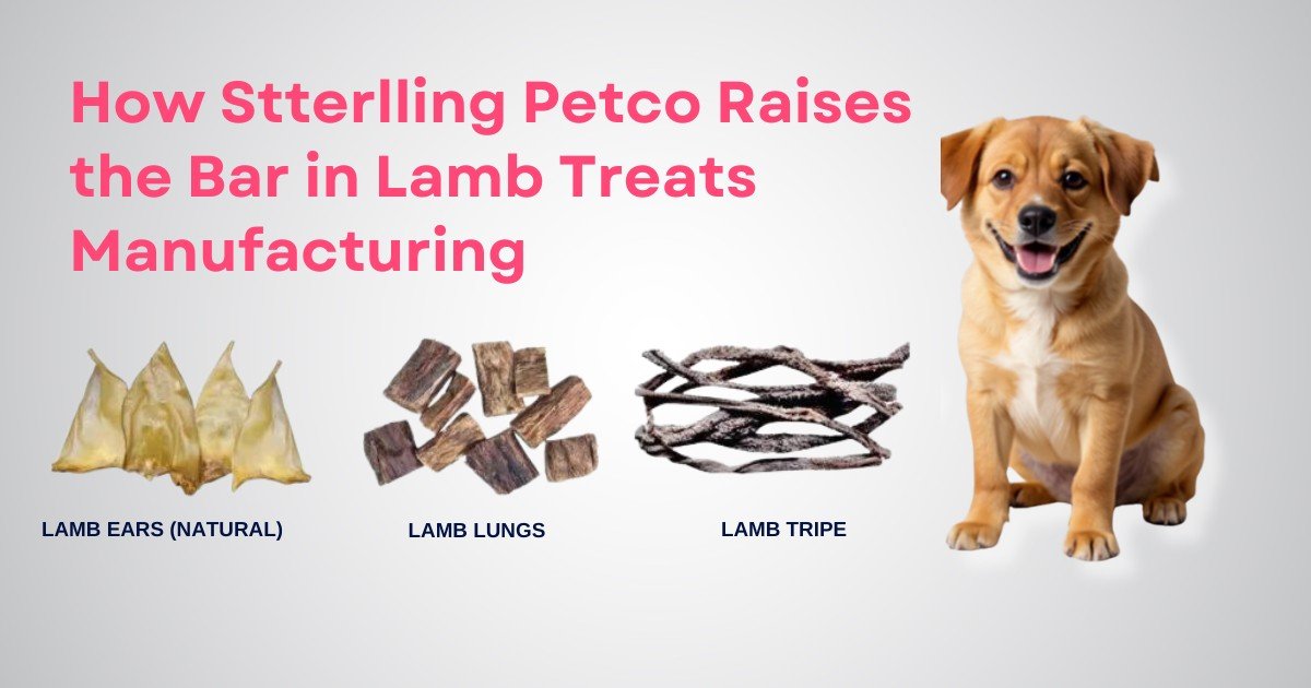 How Stterlling Petco Raises the Bar in Lamb Treats Manufacturing