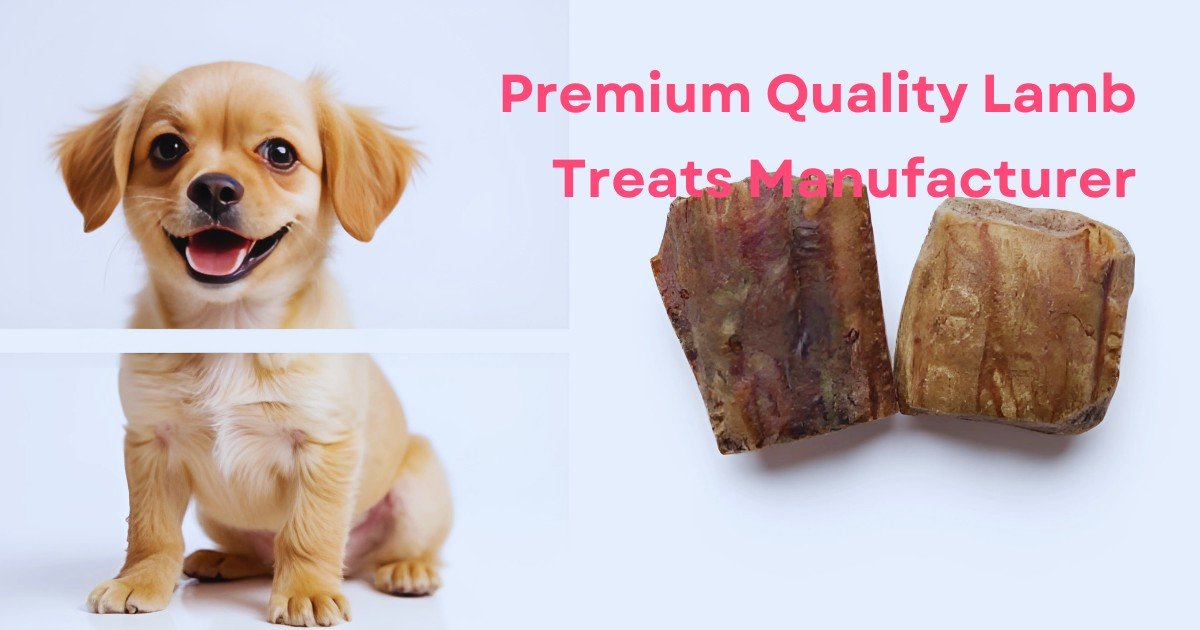 Premium Quality Lamb Treats Manufacturer from India Stterlling Petco Exporter of Choice