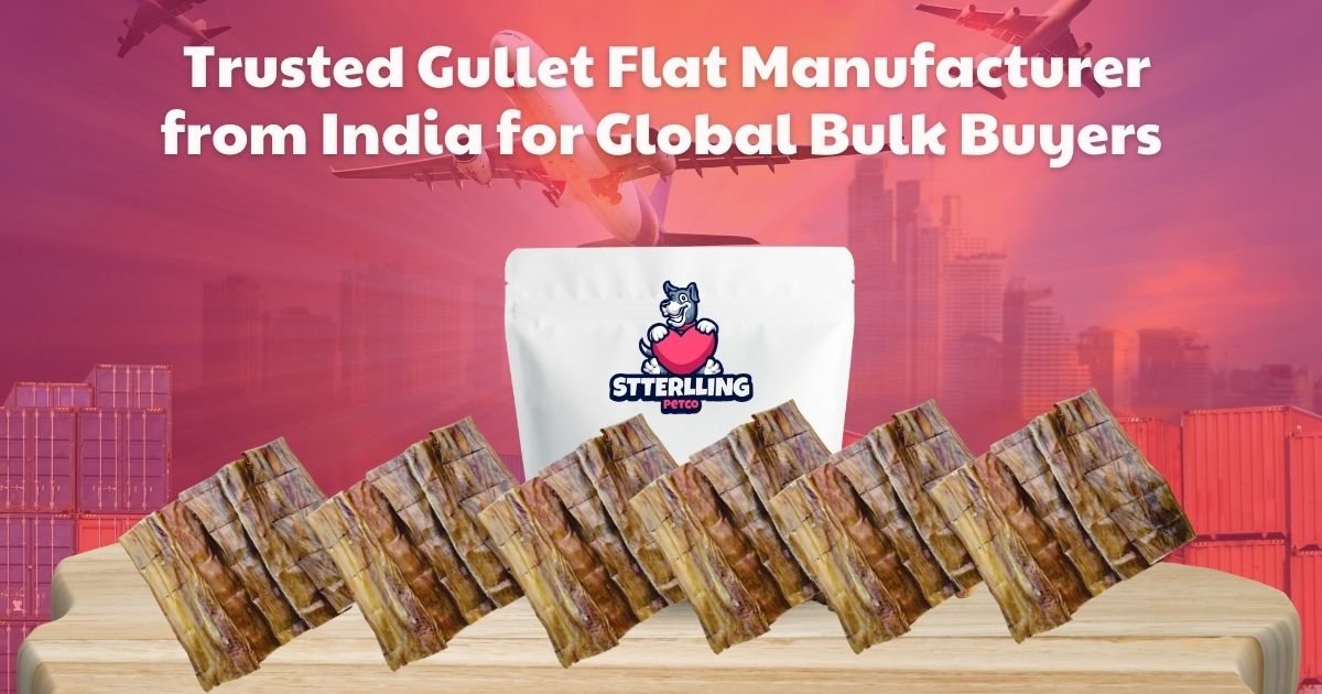  Trusted Gullet Flat Manufacturer from India for Global Bulk Buyers