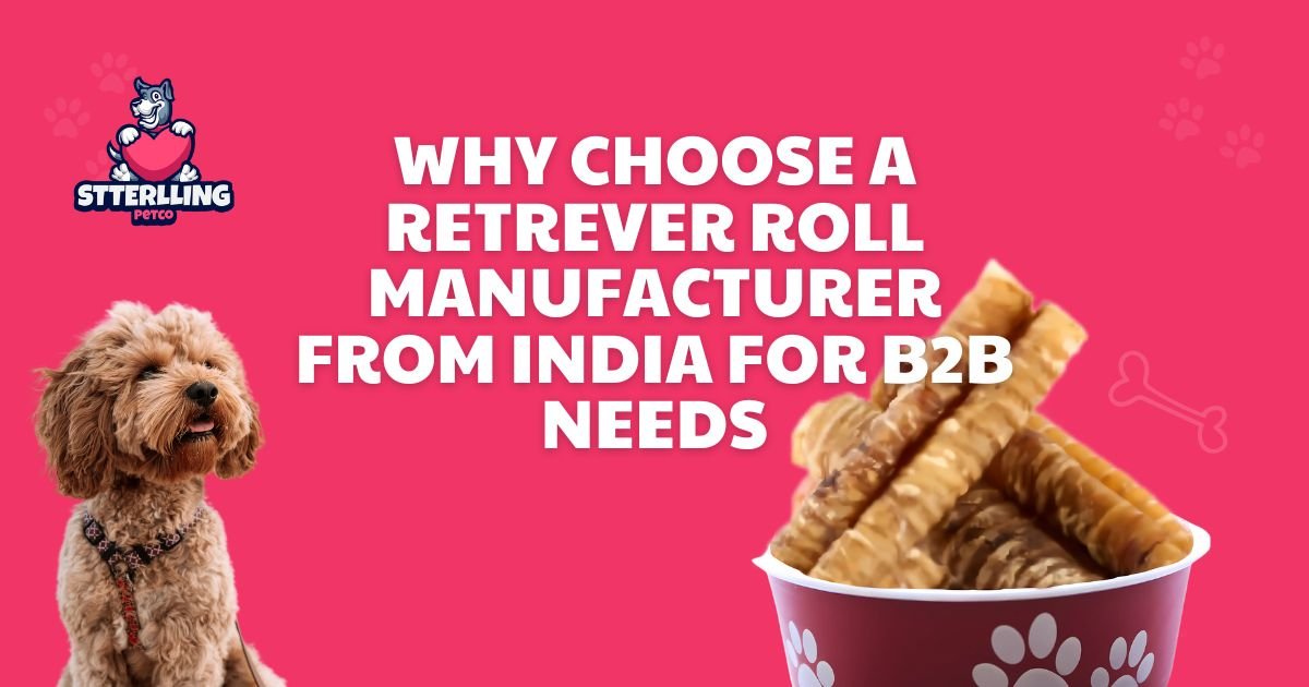 Why Choose a Retrever Roll Manufacturer from India for B2B Needs