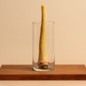 Long bone standing upright inside a clear glass on a wooden pedestal/stand, centered for display.