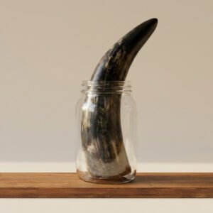 Curved black horn stored upright inside a clear glass jar on a wooden shelf.