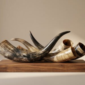 Stterlling Petco - Bovine Horns