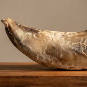 Stterlling Petco - Moon Bone