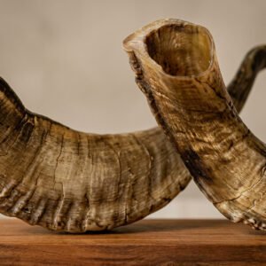 Stterlling Petco - Sheep Horns