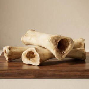 Stterlling Petco - Tibia Bone
