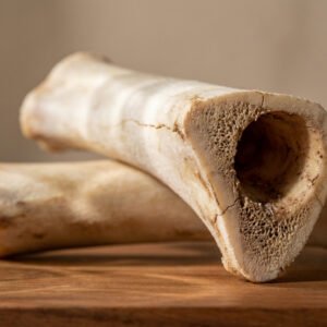 Stterlling Petco - Tibia Bone