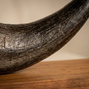 Stterlling Petco - Tip Horns