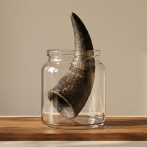 Stterlling Petco - Tip Horns