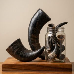Stterlling Petco - Water Buffalo Horns L & J Shape