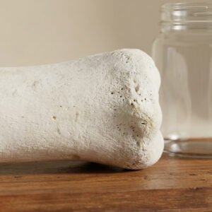Large white bone resting on a wooden table with a glass jar in the background, out of focus.